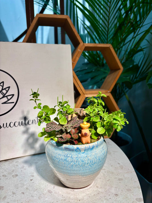 Fittonia & Peperomia Rotundifolia Arrangement in Capybara Blue Sea Pot