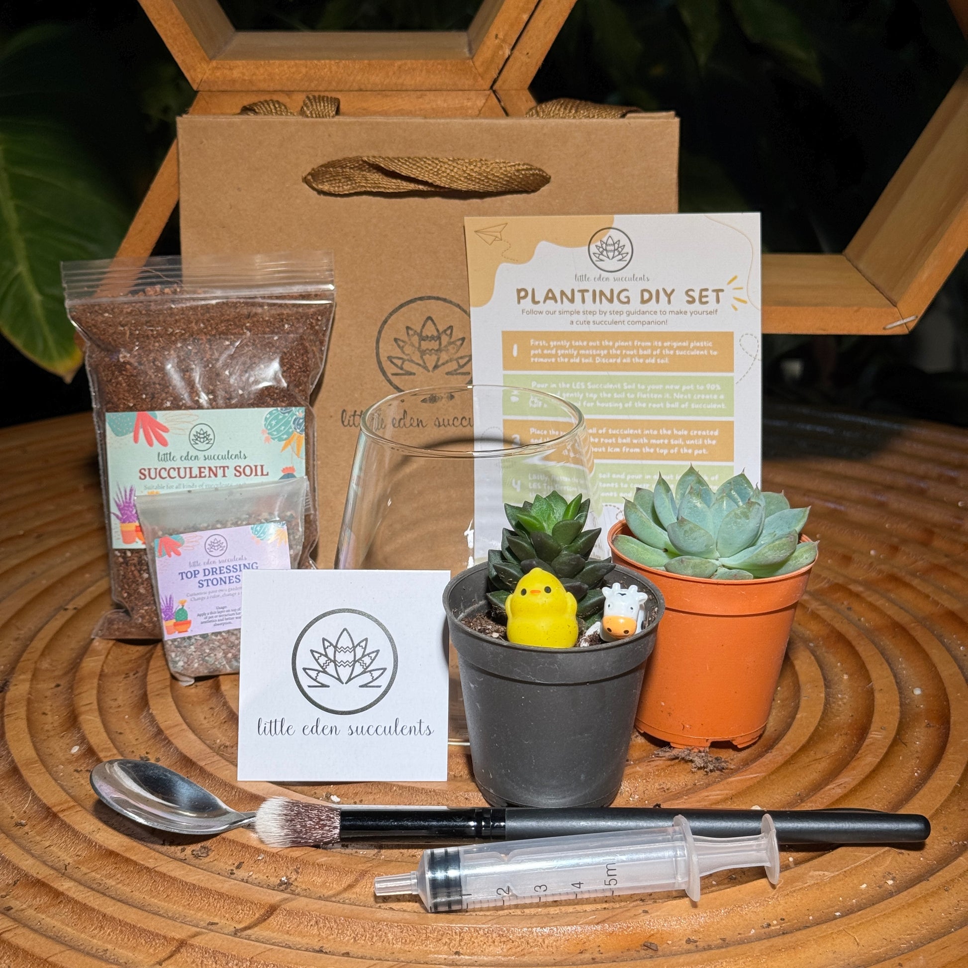 succulent diy kit Fuji Glass Succulent Terrarium DIY Kit