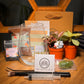 Tall Glass Indoor Plant Terrarium (M) DIY Kit