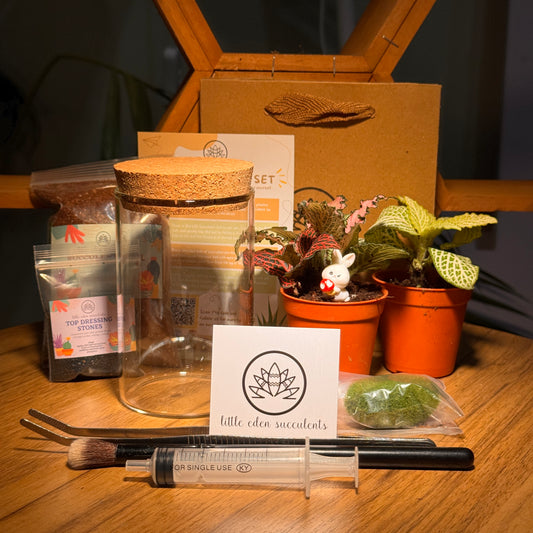 Cylindrical Covered Glass Indoor Plant Terrarium (L) DIY Kit