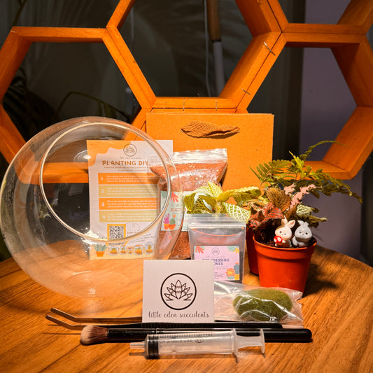 Round Glass Indoor Plant Terrarium (L) DIY Kit