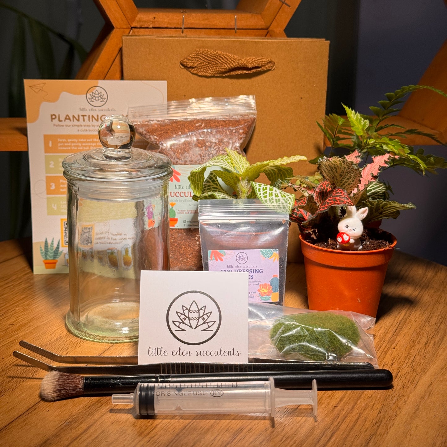 Terrarium Jar (M) Indoor Plant Terrarium DIY Kit