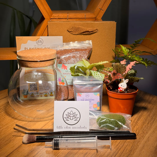 Round Covered Glass Indoor Plant Terrarium (S) DIY Kit