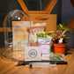 A DIY indoor plant terrarium kit, including a bell glass container, various plants such as fittonia, fern and a moss, a figurine, a watering syringe, and paper bag 