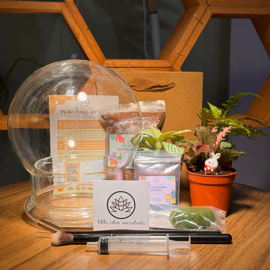 Dome Glass Indoor Plant Terrarium DIY Kit