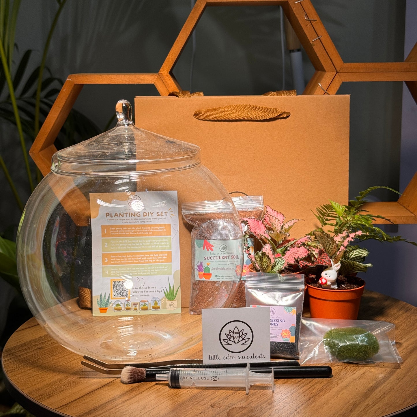 single plant terrarium Fishbowl Glass with Lid Indoor Plant Terrarium DIY Kit