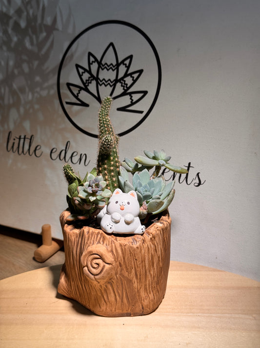 Succulent Arrangement in Woodlog Pot