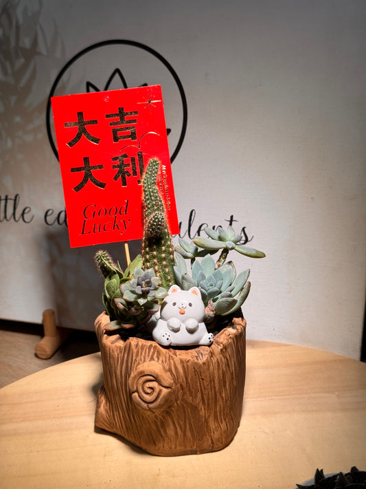 Succulent Arrangement in Woodlog Pot