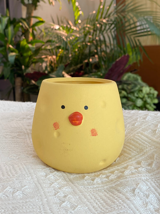 Animal Pot-Chicky