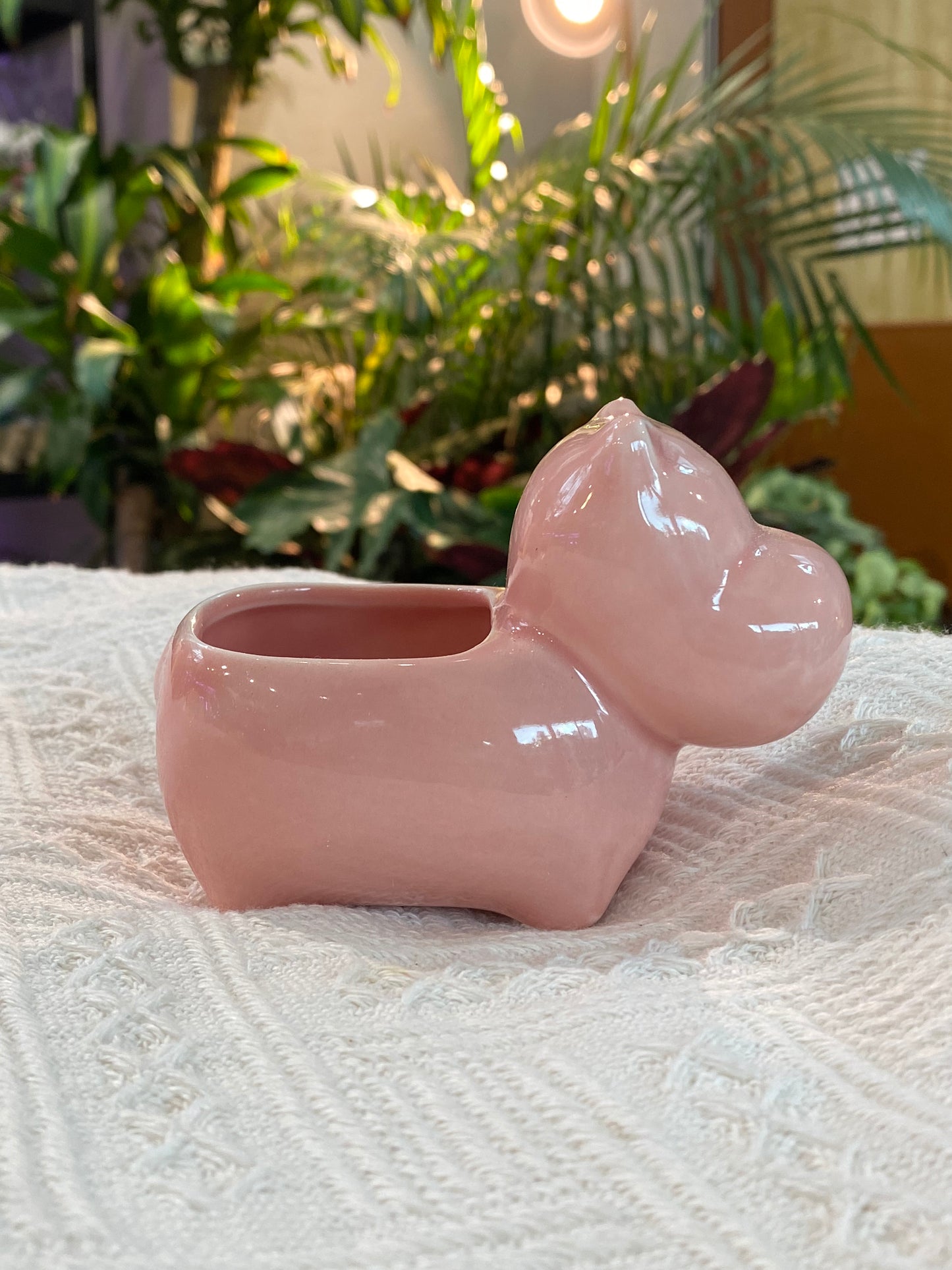 Animal Pot