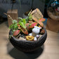 Prosperity Fern and Fittonia Arrangement in Black Zen Pot