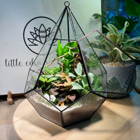 Fittonia & Fern with Moss Arrangement in Diamond Glass Terrarium