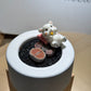 Lithops in White Pot - Perfect Gift for Minimalists