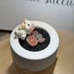 Lithops in White Pot - Perfect Gift for Minimalists