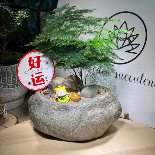 Chinese New Year Exclusive: Prosperity Asparagus Fern in Faux Pot with Prosperity Cat