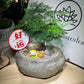 Chinese New Year Exclusive: Prosperity Asparagus Fern in Faux Pot with Prosperity Cat