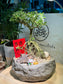 Chinese New Year Exclusive: Prosperity Snowrose (Serissa Japonica) with Prosperity Cat