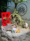 Chinese New Year Exclusive: Prosperity Snowrose (Serissa Japonica) with Prosperity Cat