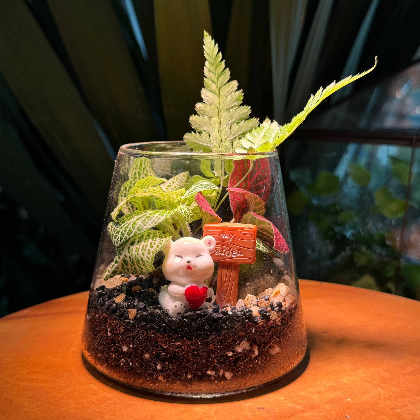 Valentine Day Gift for Couple: Indoor Plants in Fuji Terrarium