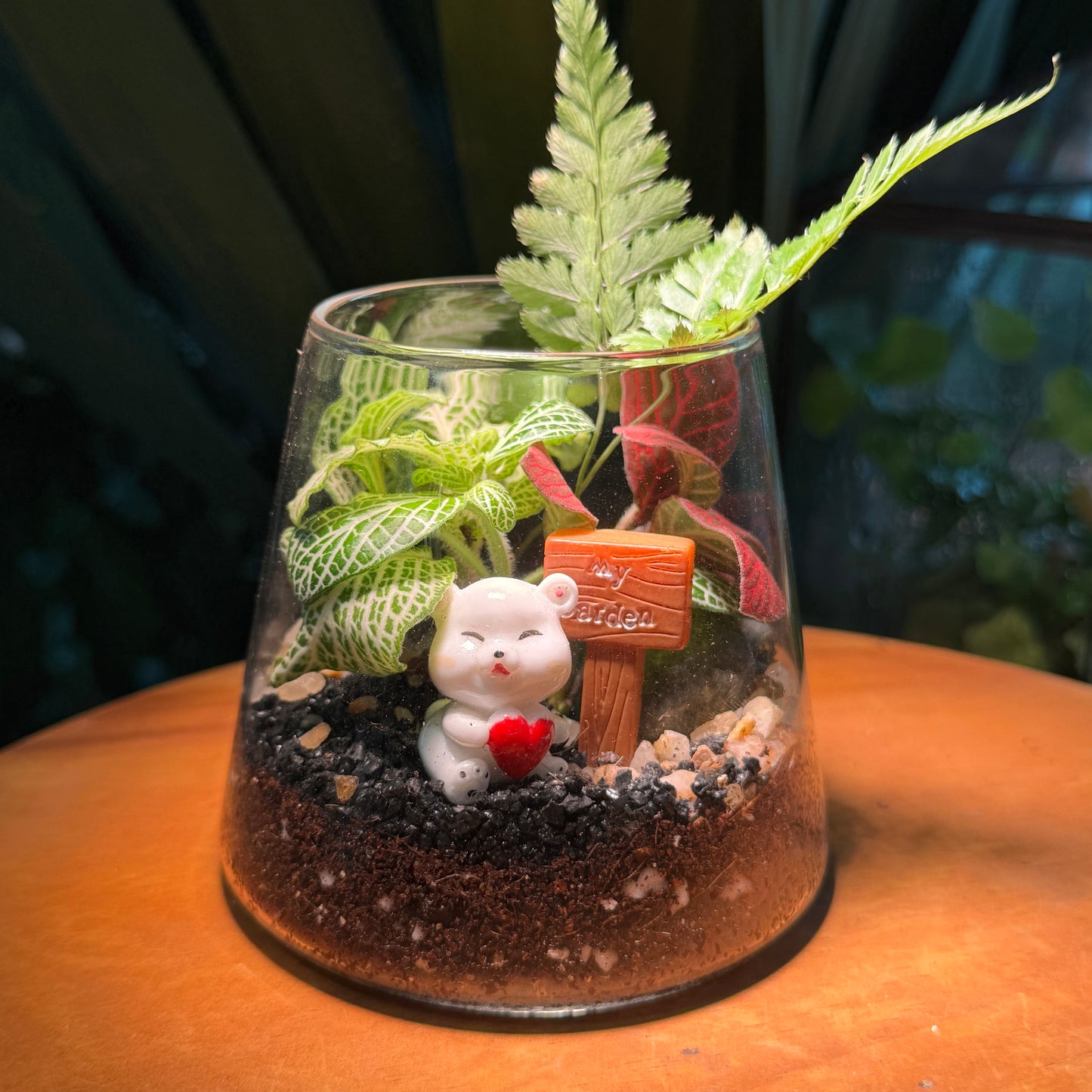 Valentine Day Gift for Couple: Indoor Plants in Fuji Terrarium