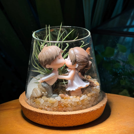 Valentine Gift: Airplant in Fuji Glass Terrarium with Wood Coaster