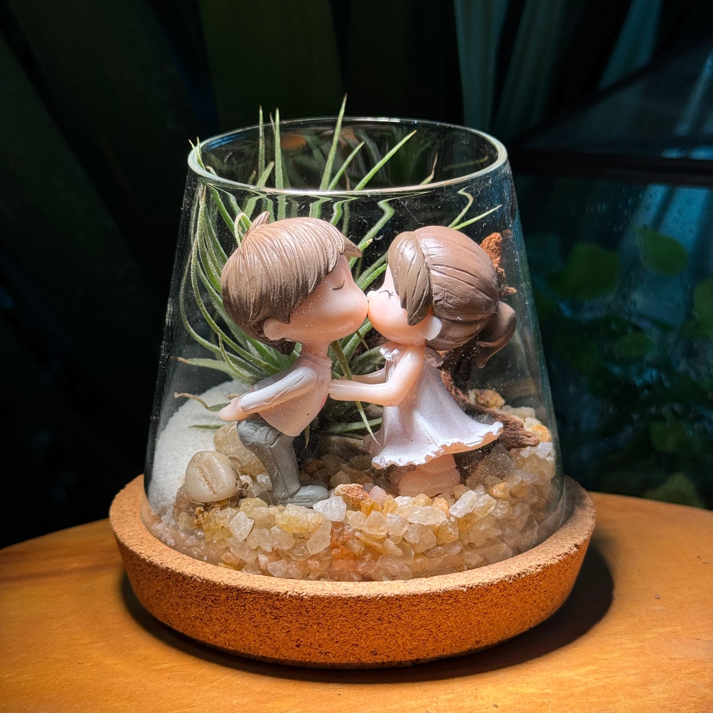 Valentine Gift: Airplant in Fuji Glass Terrarium with Wood Coaster