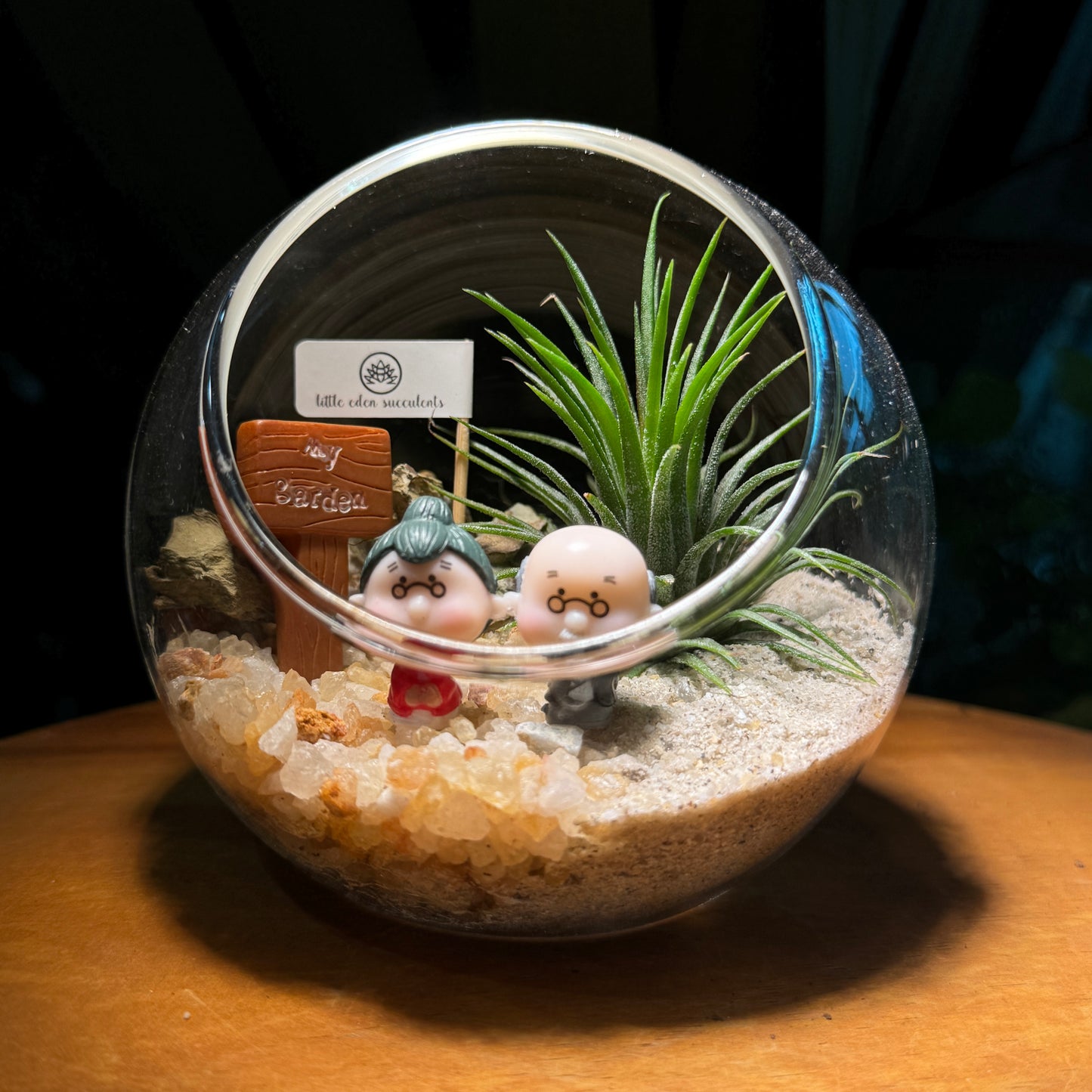 Best Valentine Gift for Your Partner: Airplant in Round Glass Terrarium