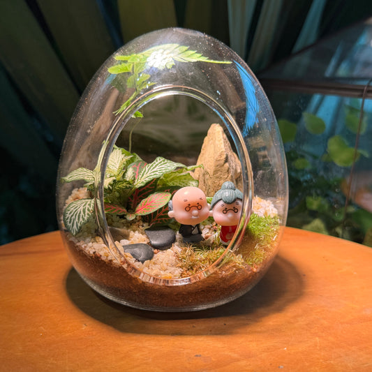 Valentine Gift : Indoor Plant Terrarium in Eggette Glass (S)