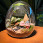 Valentine Gift for Boyfriend/Girlfriend/Couple: Fittonia Fern and Moss Arrangement in Eggette Indoor Plant Terrarium(S)