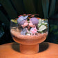 Couple Fittonia & Fern Arrangement in Terrarium - Best Valentine Gift