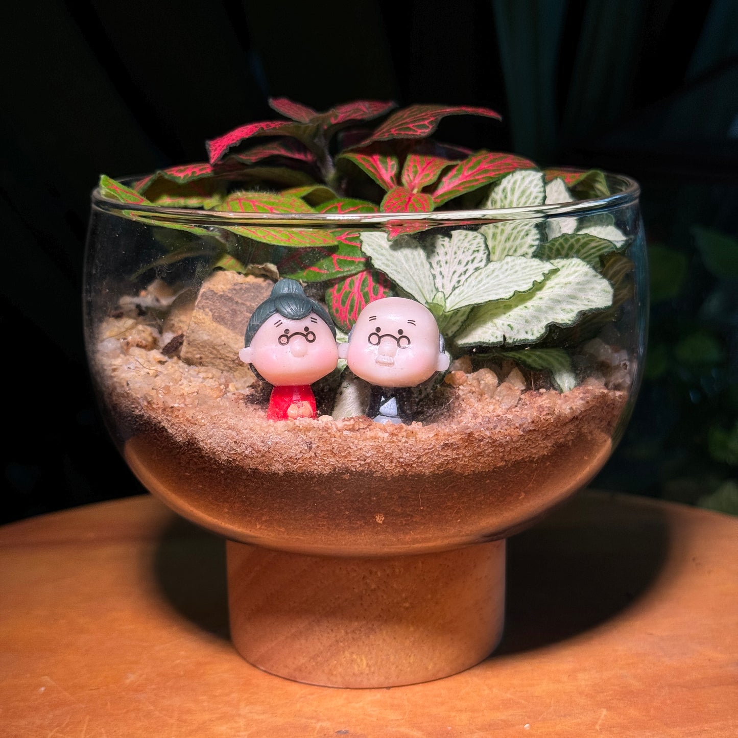 Couple Fittonia & Fern Arrangement in Terrarium - Best Valentine Gift