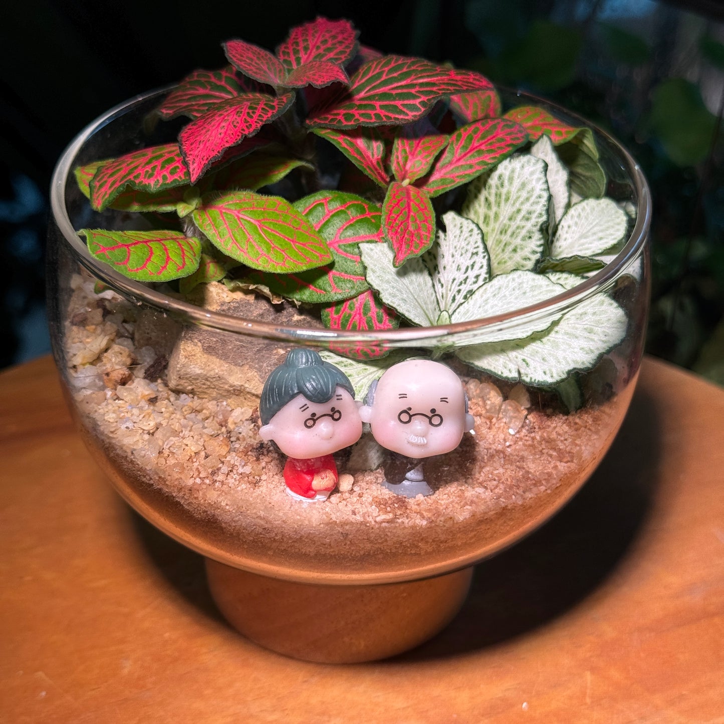 Couple Fittonia & Fern Arrangement in Terrarium - Best Valentine Gift