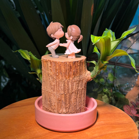 Valentine Gift for Girlfriend: Couple Cartoon with Dracaena with Base Plate