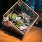 Valentine Gift for Him/Her: Golden Frame Cubical Succulent Terrarium