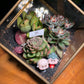 Valentine Gift for Him/Her: Golden Frame Cubical Succulent Terrarium