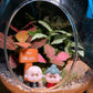 Best Valentine Gift for Girlfriend/Boyfriend/Couple: Fittonia and Fern in Eggette Indoor Plant Terrarium(L)