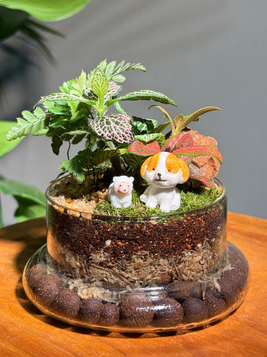 Fittonia & Fern with Moss Arrangement in Bell Glass Terrarium