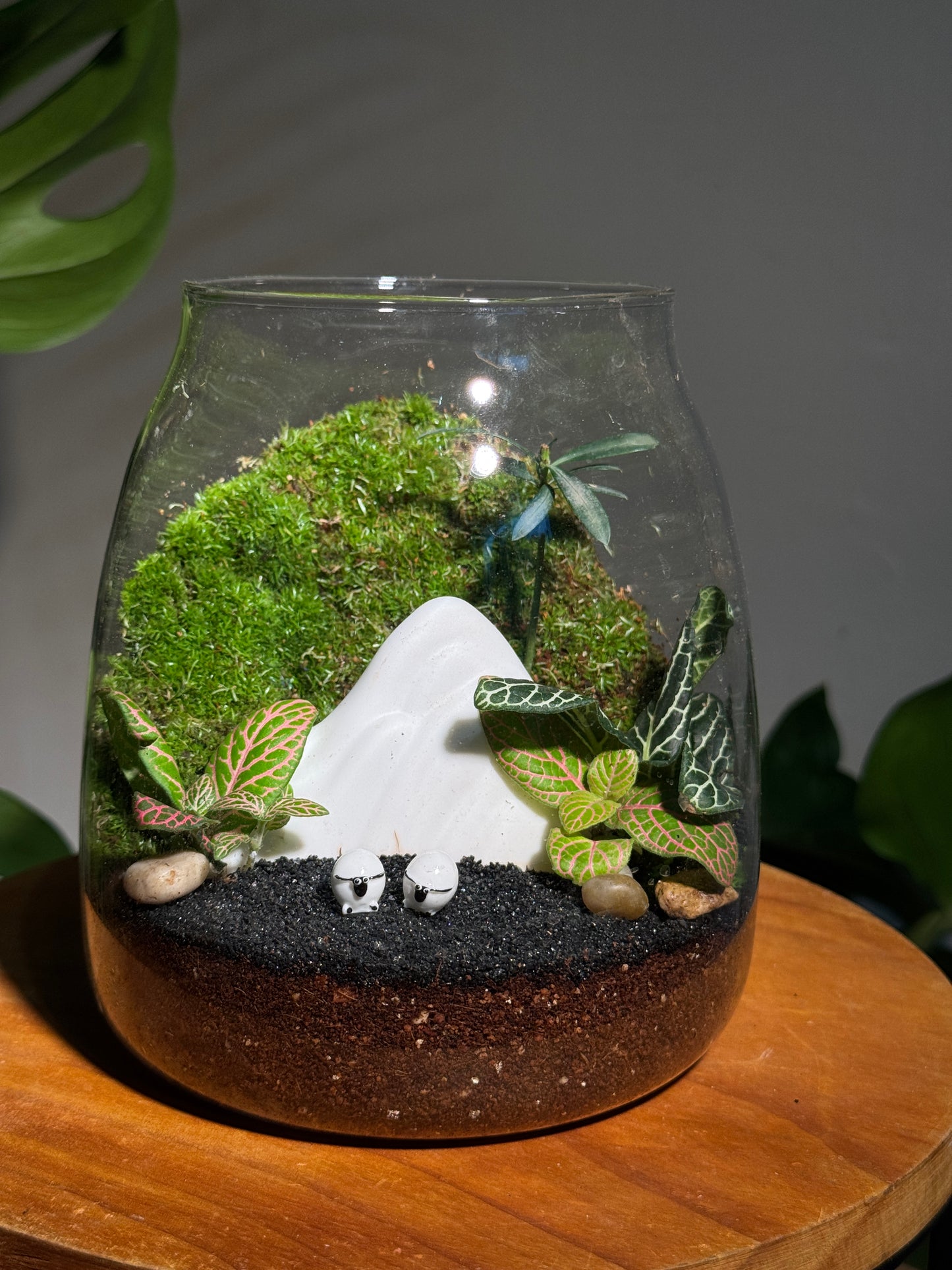 Zen Mystical Mountain Moss Terrarium