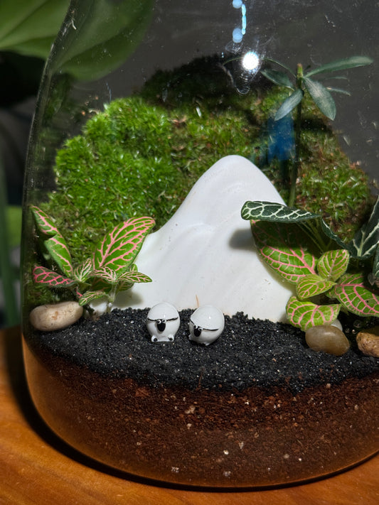 Fittonia with Moss Arrragement (Zen Mystical Mountain) in Water Drop