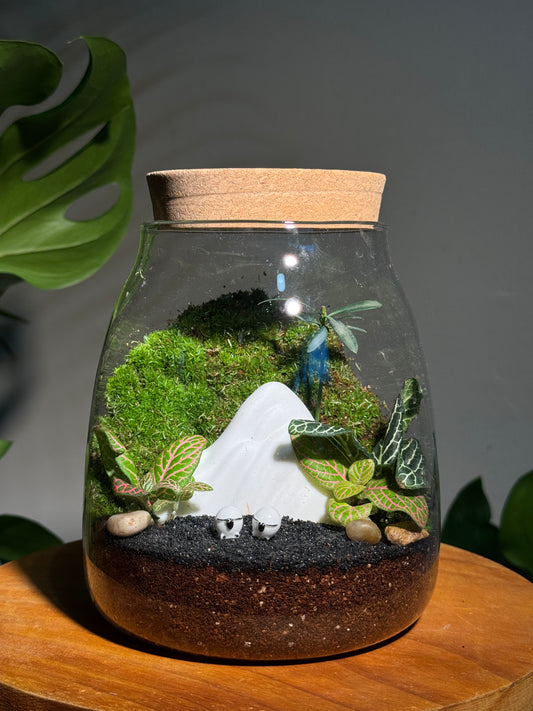 Fittonia with Moss Arrragement (Zen Mystical Mountain) in Water Drop