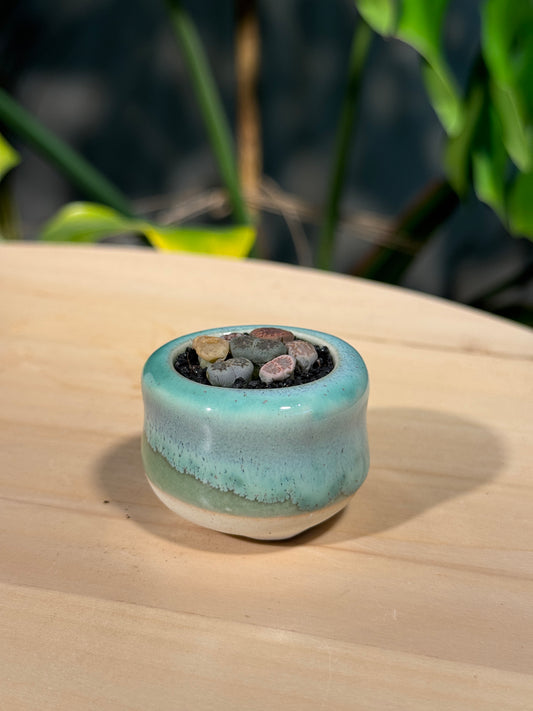 Lithops in Green Ceramic Pot