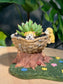 Succulent Arrangement – Puppy Basket Planter