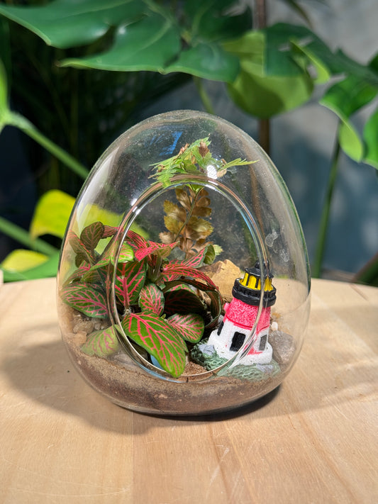 (Pre-order) Indoor Plant in Eggette Glass Terrarium