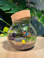 (Pre-order) Indoor Plant in Round Covered Glass Terrarium