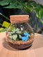 (Pre-order) Indoor Plant in Round Covered Glass Terrarium