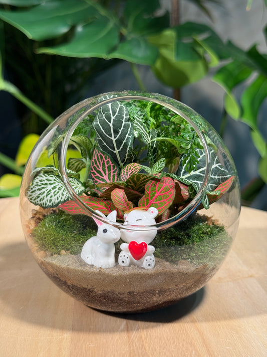 (Pre-order) Indoor Plant in Round Glass Terrarium