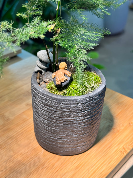 Asparagus Fern and Moss Arrangement in Grey Zen Pot
