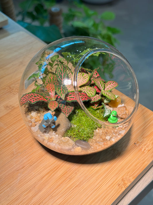 Fittonia and Fern with Moss Arrangement in Round Glass Terrarium