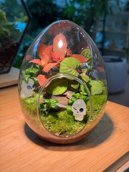 Fittonia & Fern with Moss Arrangement in Eggette Glass Terrarium (M)