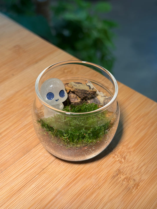 Moss Arrangement in Tea Glass Terrarium
